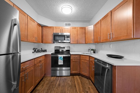 Contemporary Kitchen